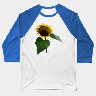 Sunflowers - Bowing Sunflower Baseball T-Shirt